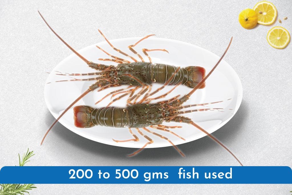 214 Lobsters Jumbo (1kg and Up) - Image 1