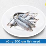 Sardines