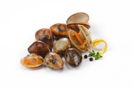 Clams