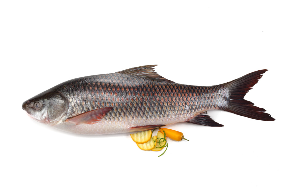 Rohu Fish Whole Rohu Large - Image 1